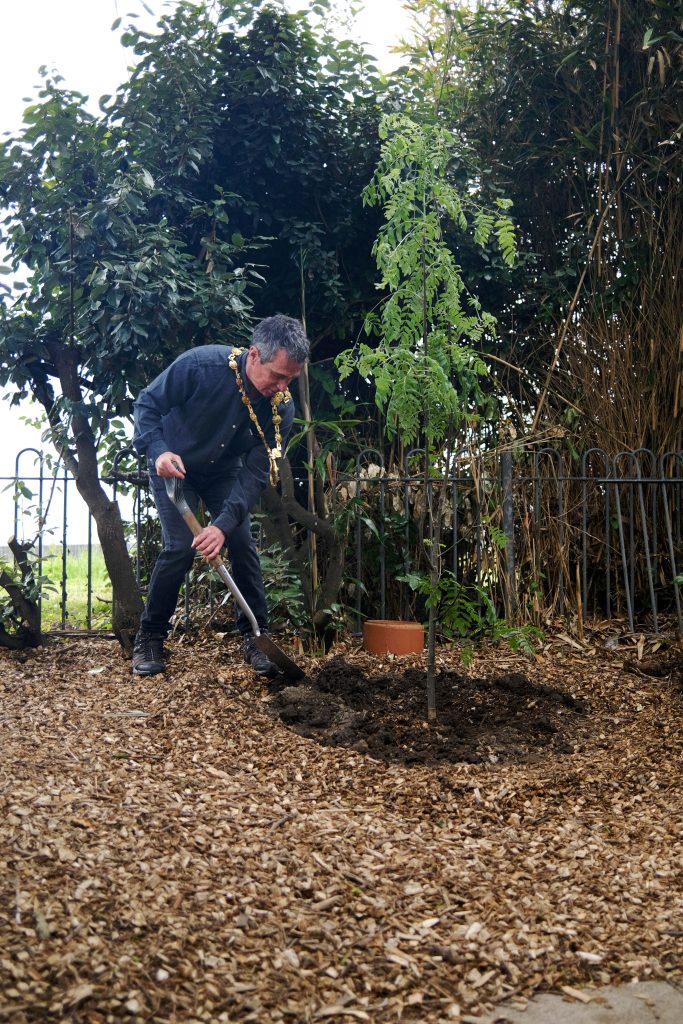 Image shows Mayor of Penzance planting a tree at newlyn Art Gallery